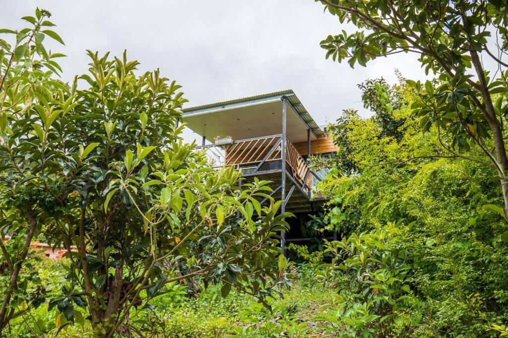 Le Panorama Villa Cilaos Exterior photo
